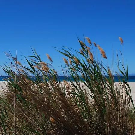 Fla بيت للعطل *